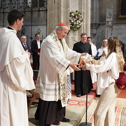 Tag des Lehrlings im Stift Heiligenkreuz 2024